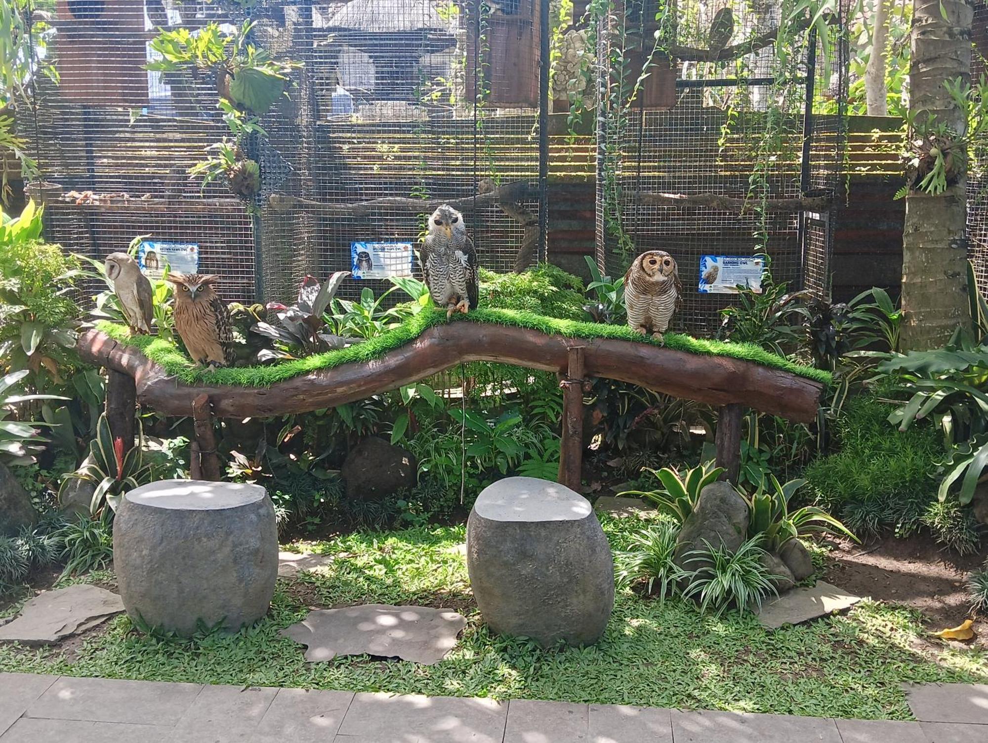 Hotel Liyer Spirit House Ubud Exterior foto